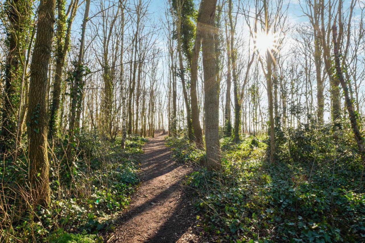 Sunnybeachhouse Aan Het Bos, Tussen Zee En Meer. Noordwijkerhout Eksteriør billede